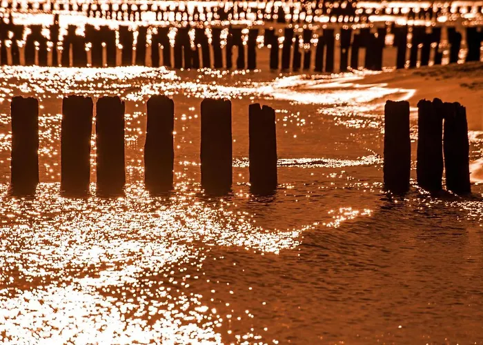 Baltyckie - Luxoro Park *